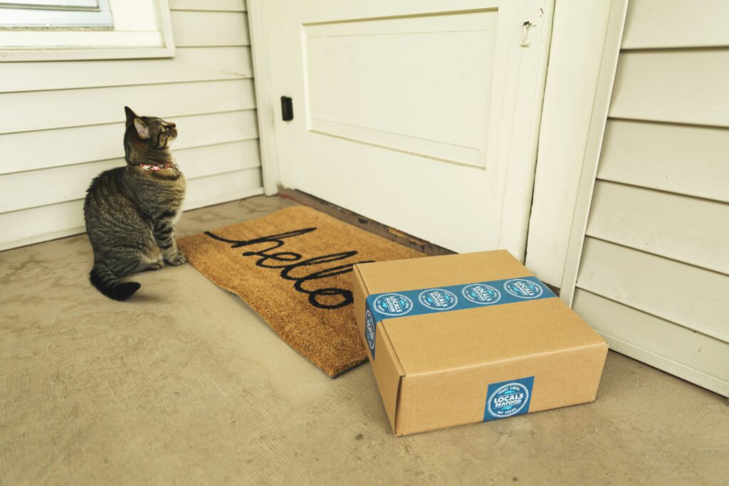 Cat waiting at the door next to a cardboard box
